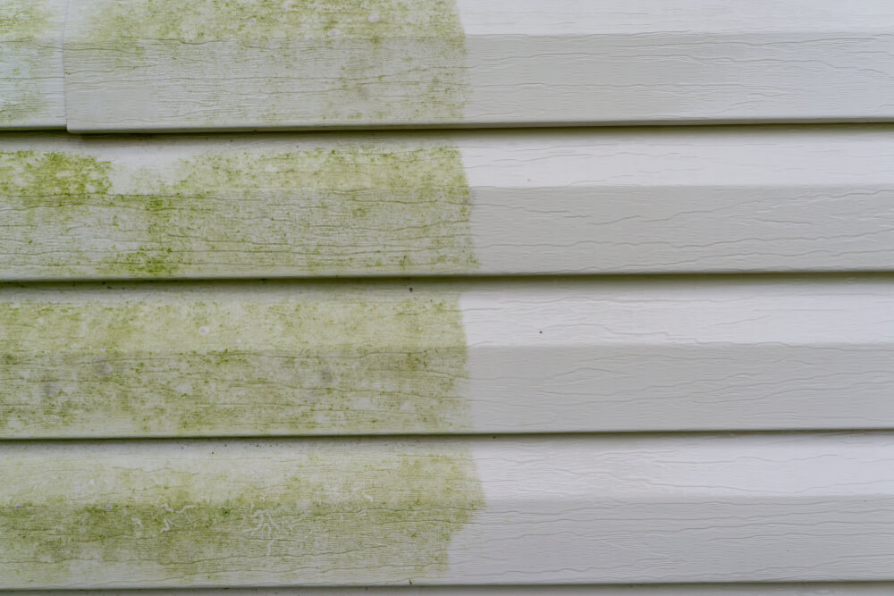 mold and oxidation in vinyl siding